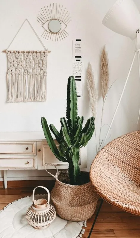 photo décoration intérieur — Cosy intérieurs
